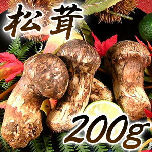 味覚の王様「松茸」200g入り