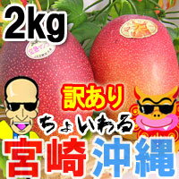 ̣٢ܺޥ󥴡ޥ󥴡å̵[ͽ䳫!!]礤ܺ겭ޥ󥴡åȡ͵Υޥ󥴡2kgĥåȤˤʤäо̵