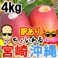 ̣٢ܺޥ󥴡ޥ󥴡å̵[ͽ䳫!!]礤ܺ겭ޥ󥴡åȡ͵Υޥ󥴡4kgĥåȤˤʤäо̵