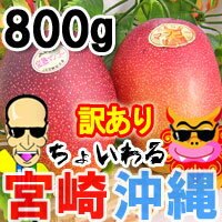 ̣٢ܺޥ󥴡ޥ󥴡å̵[ͽ䳫!!]礤ܺ겭ޥ󥴡åȡ͵Υޥ󥴡800gĥåȤˤʤäо̵