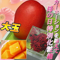 ܺޥ󥴡1̲Ȣ͡դ̵ͽ ڵܺޥ󥴡1̲ȢѼꥫ͡դȢ̵