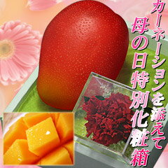 ܺޥ󥴡1̲Ȣ͡դ̵ͽ ڵܺޥ󥴡1̲ȢѼꥫ͡դȢ̵