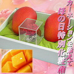 ڵܺޥ󥴡2̲ȢѼꥫ͡դȢ̵۵ܺޥ󥴡2̲Ȣ͡դ̵ͽ