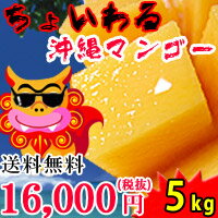 ΥѥƥƤڲޥ󥴡Ȣ̵[ͽ䳫!!]礤벭ޥ󥴡5kg1017̡ˡ̵!!