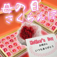 åȥ͡źơںƣӡȢڥ͡աܡںƣӡ