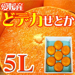 ο̣ݤξڵڰɲȤ5L7̲Ȣ̵ᥬΡ֤ɥǥȤ̣ǻȤ5L7경Ȣڶ˾尦ɲ̵