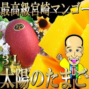 宮崎マンゴー【即発送可能】太陽のたまご3Lサイズ【1玉化粧箱】】【送料無料】【お届け指定可能】【ギフト】