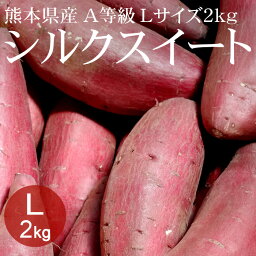 【タイムセール2,980円⇒2,500円】熊本県産 <strong>シルクスイート</strong> Lx<strong>2kg</strong>(約8本) A等級 [生いも 使いやすい量 焼き芋 野菜便 常温便 送料無料]