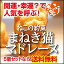 ■送料無料■ねこの約束　まねき猫マドレーヌ 5箱セット。開運・幸運のまねきネコがマドレーヌに!?カワイイ招き猫で福が来る東海ウォーカーで開運グルメに選ばれた！福を呼ぶ招き猫マドレーヌは一つ一つ手作り♪雑誌LEEでも「お取り寄せ絶品100」に選ばれた話題の開運ネコ型スイーツ