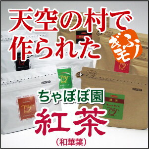 760年の歴史を持つ「幻」の無農薬栽培・無添加の”在来種”☆春日の茶葉を使った紅茶は、豊かな香りと味わいを引き出します☆ちゃぼぼ園の紅茶