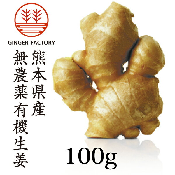 熊本県産無農薬生姜100g...:ginger-factory:10000016