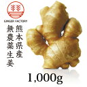 無農薬生姜1,000g 熊本県産|国産生姜|しょうが ショウガ|根生姜|【送料込み】