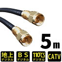 アンテナケーブル 5m ネジ式 タイプゆうメール便送料無料