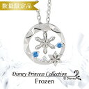 Disney ディズニー <期間限定 数量限定> アナと雪の女王 雪の結晶 シルバーペンダント アナ雪 ネックレス 公式 オフィシャル ジュエリー 女性用 クリスタル 【Disneyzone】 ブランド プレゼント 人気 おしゃれ