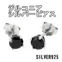 ブラック ジルコニア シルバーピアス 2P 両耳用 925 ...