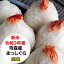特別価格にてご提供！　青森県産まっしぐら 10kg(5Kgx2)　令和3年産　乾式無洗米　精米