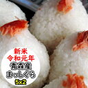 【新米】【特売価格にてご提供!】【送料無料】令和元年産 乾式...