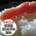 【特売価格にてご提供!!】【送料無料】令和元年産 乾式無洗米...