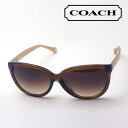 おすすめ価格 【コーチ サングラス 正規販売店】COACH サングラス HC8153F 532813 レディース フォックス