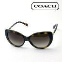 おすすめ価格 【コーチ サングラス 正規販売店】COACH サングラス HC8157 512013 レディース フォックス