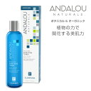 【公式】ANDALOU NATURALS アンダルー ナチュラルズ 化粧水「WB トナー」 ボタニカル オーガニック 化粧水 トナーコスメ スキンケア 脂性肌 フルーツ 幹細胞 クリアスキン
