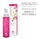 【公式】ANDALOU NATURALS アンダル