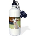 ショッピング水筒 3dRose Funny Curious Goat Photography-スポーツウォーターボトル、21オンス（wb_201771_1）、21オンス、マルチカラー 3dRose Funny Curious Goat Photography-Sports Water Bottle, 21oz (wb_201771_1), 21 oz, Multicolored