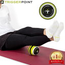 トリガーポイント Trigger Point マッサージボール 大きいモデル （12cm） MB5 トレーニング用品 03303 グリーン Massage Ball 筋膜 ス..