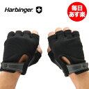 Harbinger Fitness ハービンジャーフィットネ...