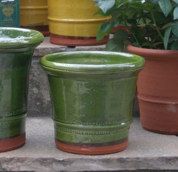 グレイズドバクサスポット　直径17cmサイズWhichford Pottery Glazed Buxus　Pot