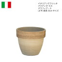 パラディオ モカ・グラフィアート L8号直径25cmサイズ