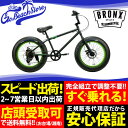 BRONX/ブロンクス BRONX 20DD 20 x 4.0 7段変速 ファットバイク 自転車 20インチ FATBIKE / Matte Black x Lime / Gold x Gloss Black / Matte Black x Black