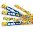 ナーズロープ トロピカル 7個 / Nerds Rope Tropical