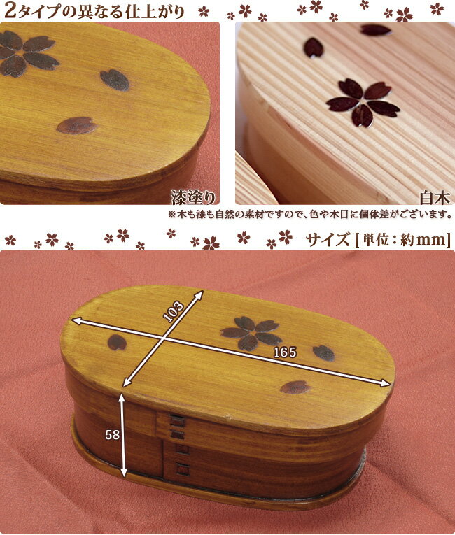 わっぱ弁当箱 桜 小判型（小） 仕切付