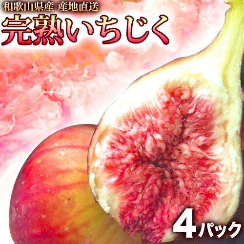 いちじく 生 1.5kg 朝採り完熟いちじく 送料無料 訳あり 食品 フルーツ・果物 イチジク 無花...:gochiso35:10000131