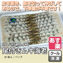 尾付きムキ海老(21/25)【ブラックタイガー おつきむきえ...