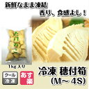 冷凍 穂付筍 1kg 【たけのこ 竹の子 冬筍 M S SS 3S 4S 業務用 冷凍商品10000円以上で送料無料 あす楽対応】
