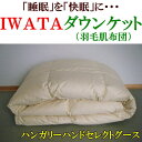 イワタ ダウンケットハンガリーハンドセレクトグース シングルサイズ送料無料、代引手数料無料イワタ羽毛肌布団 イワタダウンケット IWATA羽布団 iwta羽毛肌掛け布団 iwata 肌掛けふとん IWATA制羽毛布団 イワタ夏布団