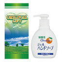 ハンドソープ ギフト箱入り (HS-28) 弱酸性ジェルハンドソープ200mL 30個セット販売