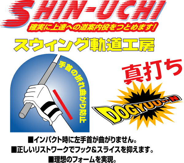 手首の使い方矯正★魔法のグローブ★シンウチメール便選択可能【RCP】...:golf-inspire:10000195