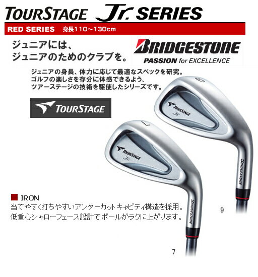 BRIDGESTONE TOURSTAGEuWXg@cA[Xe[W..