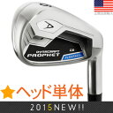 ダイナクラフト Dynacraft Prophet CB アイアンヘッド単品(右打用) I3710A 【ゴルフ】