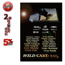 18-19 DVD snow CARVEMAN WILD CARD 05 SNOWBOARD Xm[{[h Ay DEMO f XΉi 