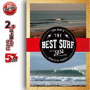   10%OFF SURF DVD FUN SURF 9 THE BEST SURF 2014 lCV[Y̍ŐV T[tBDVD XΉi 