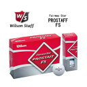 【大処分】Wilson ウィルソン PROSTAFF プロスタッフFSゴルフボール 12球