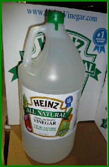 【HEINTZ】　ハインツ　ビネガー　5L 【穀物酢　とうもろこし酢】　5リットル用途色々！！