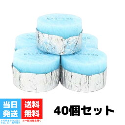 固形燃料 カエン ニューエース 10g 40個入 <strong>ニイタカ</strong>