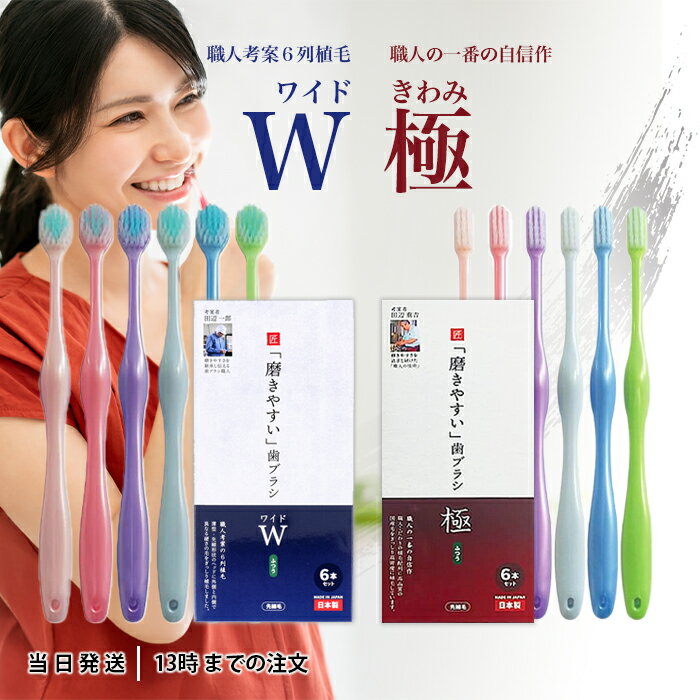 【2種から選べる】 磨きやすい歯ブラシ 極 / ワイド 6本セット LT-53 / LT-56 田辺重吉考案 職人の歯ブラシ 磨きやすい 歯ブラシ 極 ふつう 先細毛 6列植毛 ライフレンジ 小さめヘッド ハブラシ 歯磨き 歯みがき 送料無料