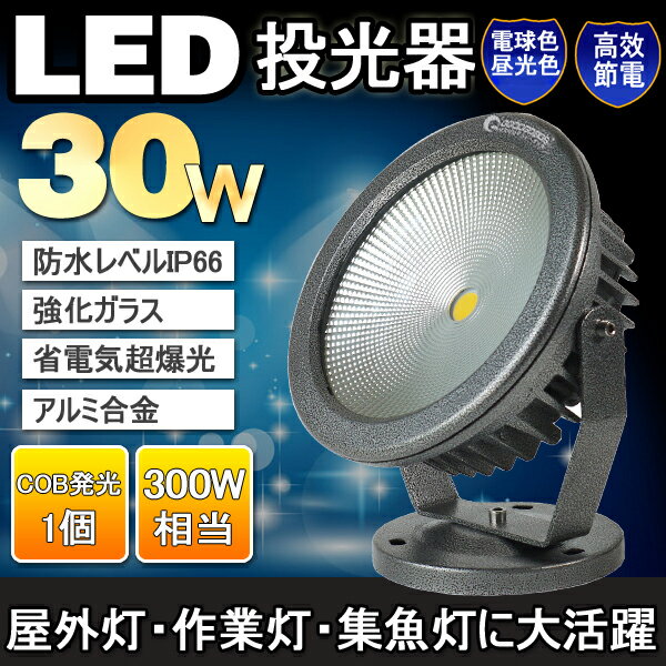 【送料無料】投光器 led 30w 300W相当 3000lm COBタイプ LED 投光…...:goodgoodsy:10001769