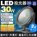 【2個セット】COBタイプ led 看板灯 30w 300W相当 看板ライト 店舗照明 ライトアップ 商店街 街灯 3000ルーメン 投光器 スタンド 投光器 led 投光機 集魚灯 駐車場 LEDライト 屋外灯 野外灯 キャンプ バックライト アウトドア(CO30)